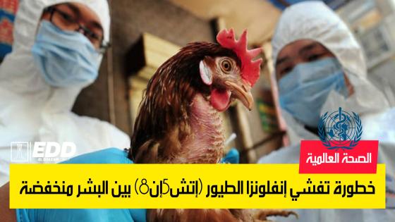 الصحة العالمية: خطورة تفشي إنفلونزا الطيور (إتش5إن8) بين البشر منخفضة