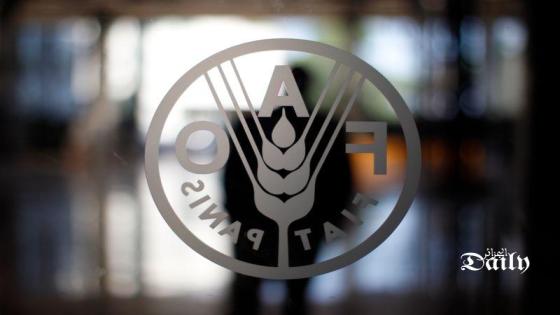 شعار منظمة الأغذية والزراعة التابعة للأمم المتحدة (فاو) في روما بصورة من أرشيف رويترز.