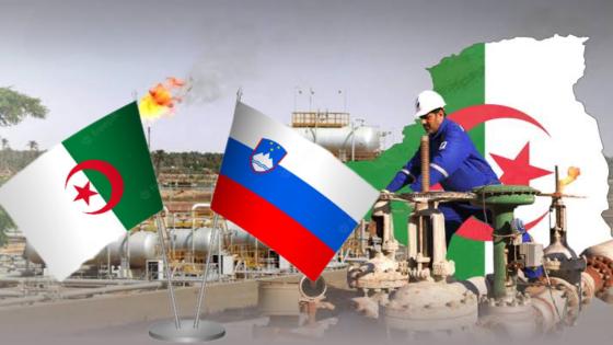 سلوفينيا تبدي إهتمامها بتوريد الغاز الجزائري عبر إيطاليا.