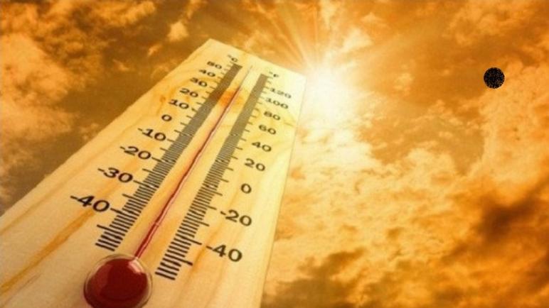 مصالح الأرصاد الجوية: موجة حر ستشهدها الولايات الساحلية للوطن