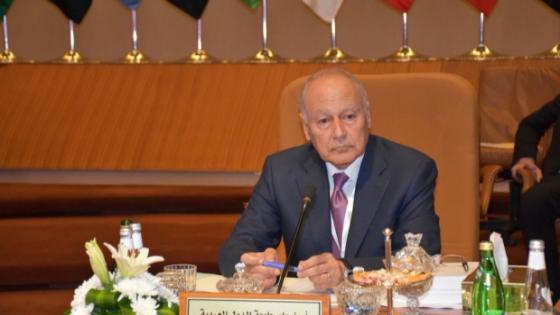 أحمد أبو الغيط: نثمن دور الجزائر الداعم للمسار السياسي الليبي