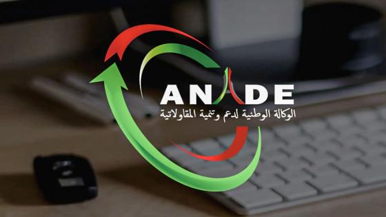 وكالة “أناد” تطلق منصة رقمية داخلية لاستقبال تظلمات واقتراحات المستخدمين