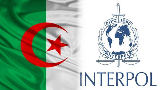 أنتربول الجزائر: توقيف 40 مبحوثا عنه خلال 2021