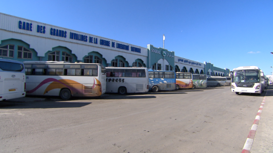 النقل البري للمسافرين: تكثيف وتعديل برنامج الرحلات خلال شهر رمضان