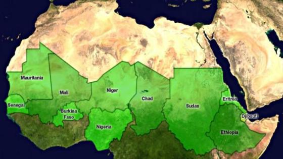 الجزائر تشارك في الاجتماع السادس للجنة المديرة لمبادرة الجدار الأخضر للصحراء والساحل بجيبوتي