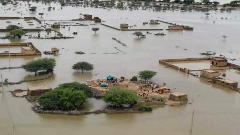 الإمارات: إنشاء 3 معسكرات جديدة لإيواء المتضررين من الفيضانات في السودان