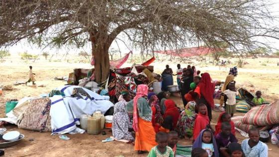 “خسائر كارثية في الأرواح”.. يونيسيف تحذّر من اقتراب خطر المجاعة في السودان