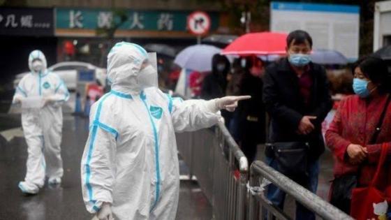 لانغيا هنيبا.. فيروس جديد أخطر من كورونا يظهر في الصين