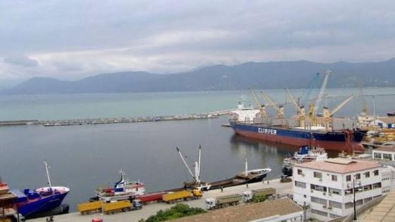 ميناء بجاية: تحقيق نسبة نمو بـ48 بالمائة في مجال معالجة الخشب