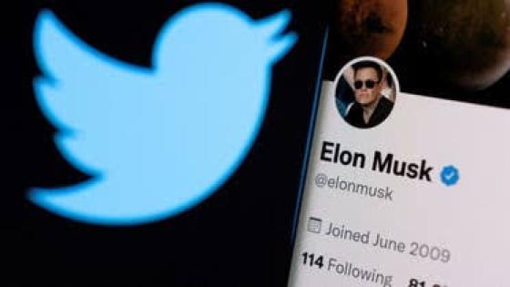 بعد خسارته للاستفتاء ، هل يتنحى إيلون ماسك عن رئاسة “تويتر”؟