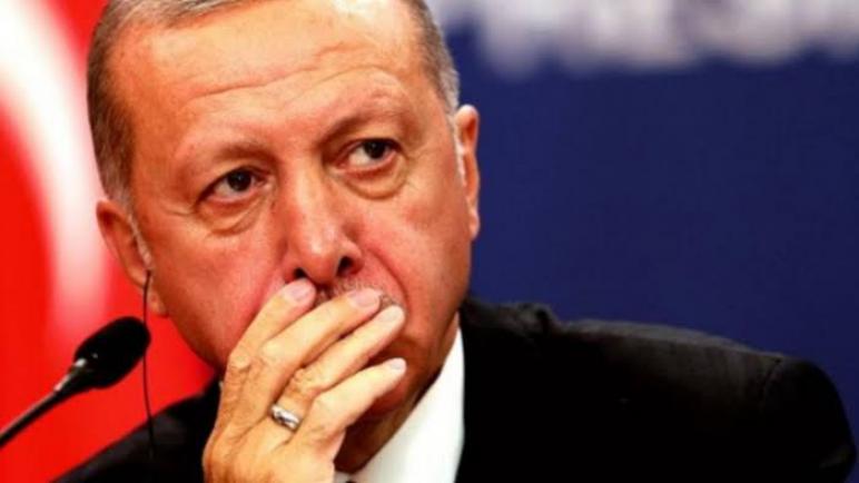 صحفية تركية تكشف : أردوغان يلاحق معارضيه برسائل جنسية