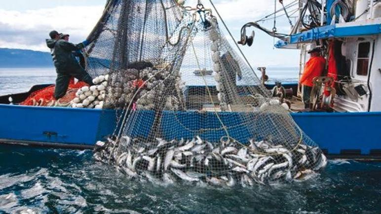وزارة الصيد البحري تطمح لرفع الإنتاج إلى 142 ألف طن في آفاق 2024