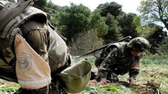 الجيش يدمر 03 قنابل تقليدية الصنع قي عمليات بحث ببومرداس وباتنة