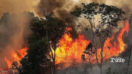 إتلاف 300 هكتار من الغابات في الحرائق المشتعلة