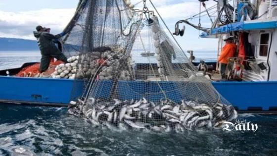 وزارة الصيد تحضر لتنظيم الصيادين والحرفيين
