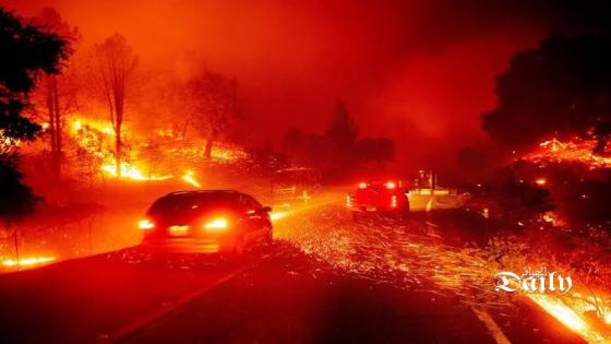 النيران تلتهم غابات كاليفورنيا