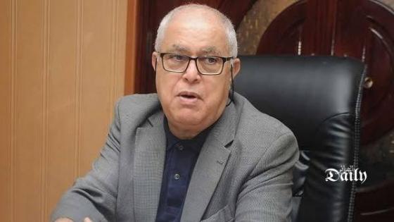 وزير الطاقة: تحديث النظام الكهربائي وعصرنته أصبح ضرورة.