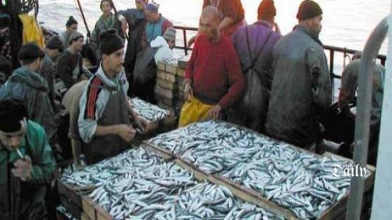 وزارة الصيد البحري تفتح مكتب بوزارة الشؤون الخارجية لتصدير الأسماك الجزائرية!!