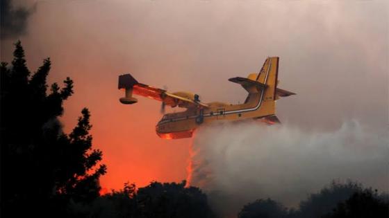 المدير العام للغابات: إقتناء طائرات قاذفة للمياه من أجل إخماد الحرائق.