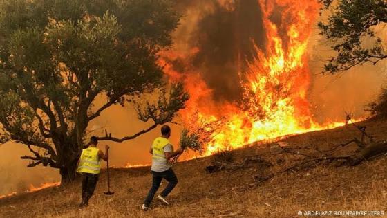 5 وفيات جرّاء حرائق الغابات في ولاية سوق أهراس