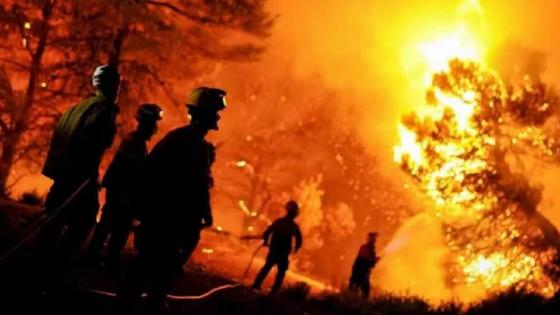 وزارة الطاقة تطمئن سكان المناطق المتضررة من الحرائق