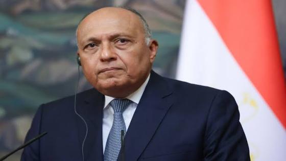 وزير الخارجية المصري: كلمة الرئيس السيسي أمام القمة العربية ستزكي فكرة الشراكة.