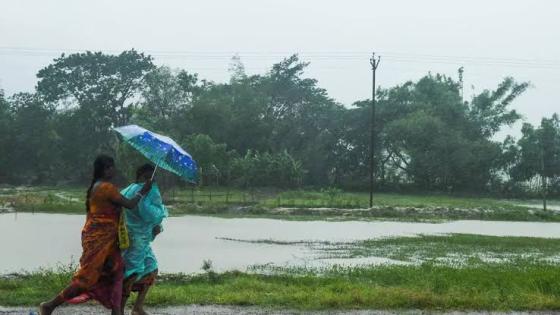 الهند.. إعصار نيسارغا يضرب مومباي