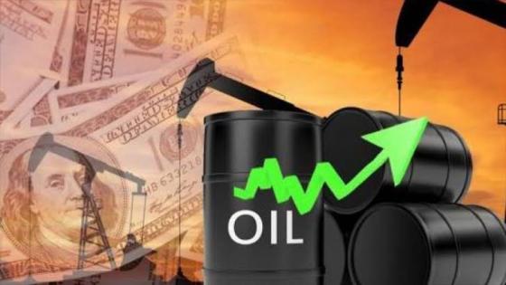 بعد تخفيضات أوبك+ وواردات قوية للصين..أسعار النفط ترتفع