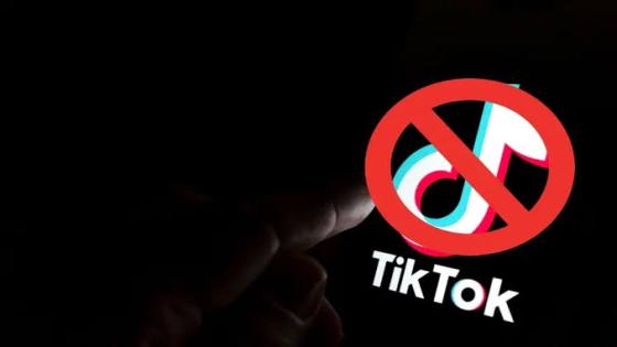 حاكم مونتانا الأمريكية يحظر تشغيل تطبيق تيك توك بالولاية