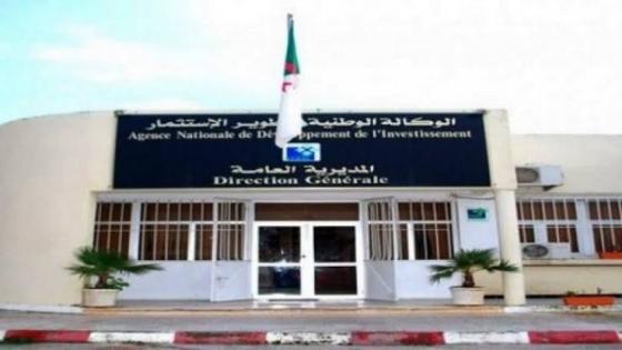 الوكالة الجزائرية لترقية الاستثمار: دراسة 124 مشروع استثمار أجنبي في الجزائر