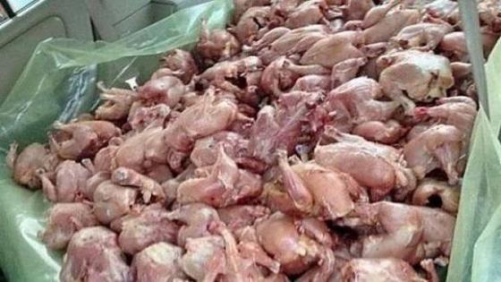 الجلفة: حجز حوالي 14 قنطار من اللحوم البيضاء غير صالحة للاستهلاك