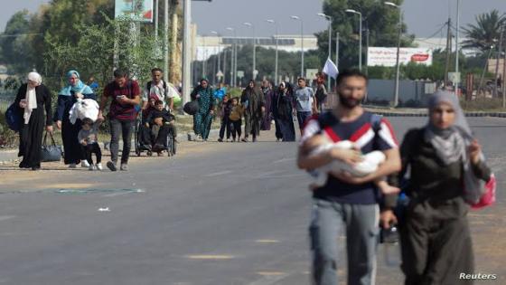 منظمة العفو الدولية : من المروع رؤية نكبة الفلسطينيين تتكرر في ذكراها الـ76