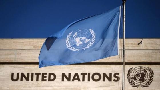 الأمم المتحدة: تقديم 4 شكاوى تعذيب لمعتقلين سياسيين صحراويين ضد المغرب أمام لجنة مناهضة التعذيب