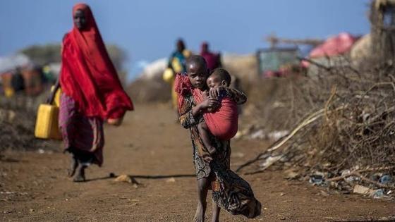 الأمم المتحدة: المجاعة تتهّدد 22 مليون شخص في القرن الإفريقي