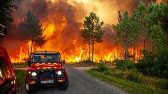 إسبانيا تعلن 15 منطقة كوارث جراء حرائق الغابات