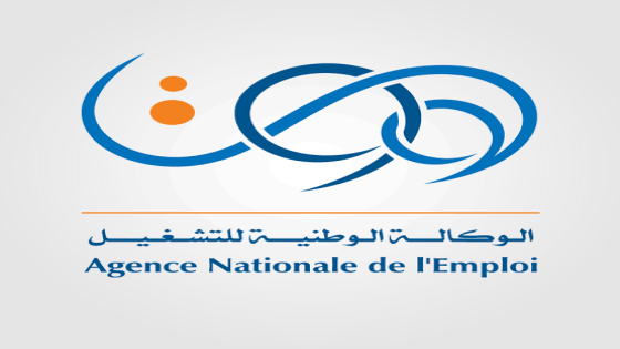 الوكالة الوطنية للتشغيل Anem تطلق خدمة التسجيل عن بعد لطالبي العمل