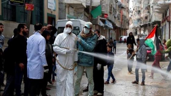 فلسطين : تسجيل ‭280‬ إصابة جديدة بفيروس كورونا