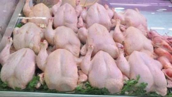 أوناب يشرع في تسويق كميات معتبرة من الدجاج المستورد لضبط السوق