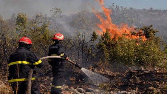 تيبازة: خطة جديدة لمكافحة حرائق الغابات