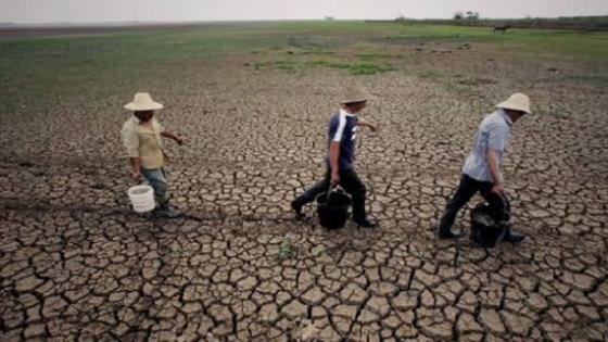 جفاف قياسي يدفع الصين للاستعانة بالاستمطار لإنقاذ 75 بالمئة من محاصيلها