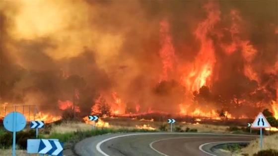 الحرائق تجتاح غابات إسبانيا وسط ارتفاع قياسي في درجات الحرارة
