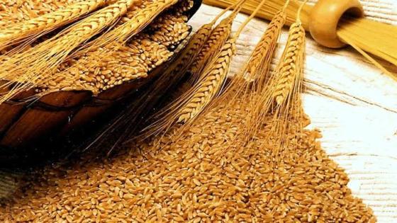 انخفاض في انتاج القمح لأدنى مستوى في 4 أعوام ودول توقف التصدير