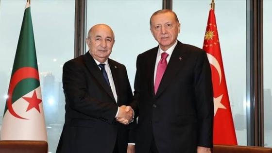 أردوغان في زيارة إلى الجزائر يوم غد