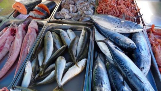 صلواتشي: الإنتاج الوطني من السمك سيرتفع إلى 116 ألف طن بنهاية 2022