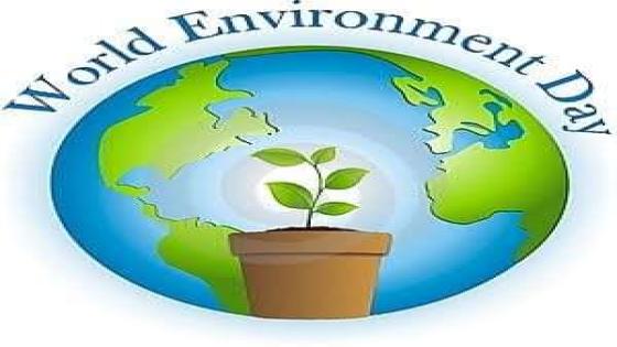 اليوم العالمي للبيئة (WED)