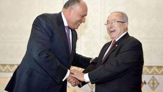 وزير الخارجية الجزائري ونظيره المصري يؤكدان عمق علاقات التعاون بين البلدين.