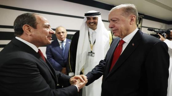 أردوغان: مصافحتي للرئيس المصري خطوة أولى نحو مزيد من التطبيع في العلاقات بين بلدينا
