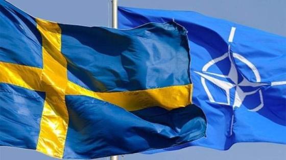 السويد تعتزم الانضمام إلى حلف الناتو