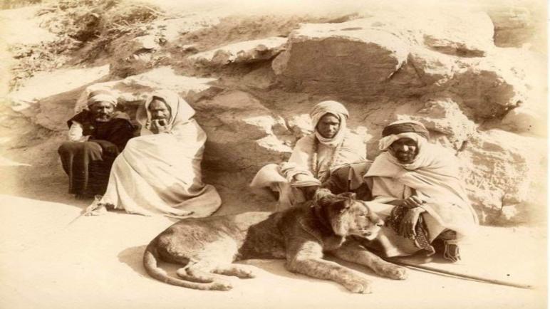حيوانات عاشت في الجزائر حتى القرن العشرين