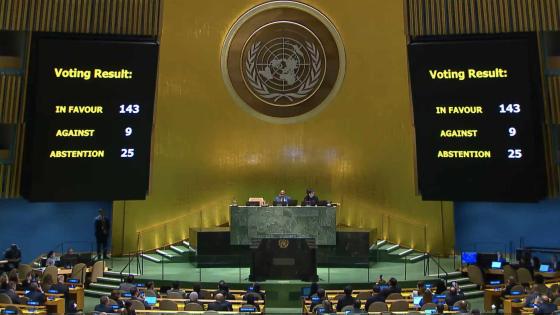 الجمعية العامة للأمم المتحدة تصوت لصالح مشروع قرار يطالب بالاعتراف بفلسطين كدولة كاملة العضوية